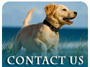 Veterinary Pincher Creek - Quote